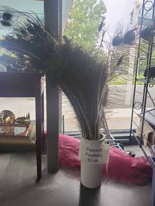 lot 5179 image: Peacock Feathers Collection with White Decorative Vase