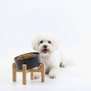 lot 166 image: Petygooing Black Raised Ceramic Dog Bowl for Small Breeds, 13.5 oz