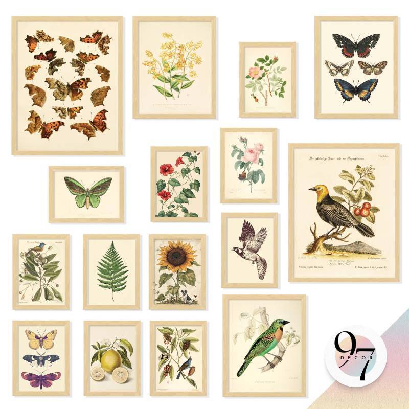 lot 61821 image: 97 Decor FRAMED Vintage Botanical Wall Art Decor - Large Plant Posters For Room Aesthetic, Vintage Botanical Prints Nature Wall Decor, Floral Pictures Butterfly Bird Art For Home Bedroom (BEIGE FRAME) - Retail $90