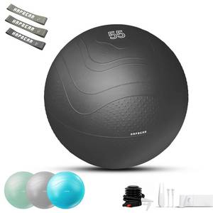 lot 23054 image: HAPBEAR Exercise Ball (222630) - Anti-Burst Slip-Resistant YogaPilates Ball for Core Training & Posture Improvement, Home GymRehabPregnancy Ball, Quick Pump & 3 Resistance Bands Included