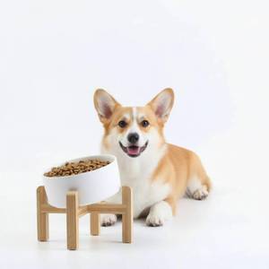 lot 23080 image: Petygooing White RaisedElevated 15°Slanted Ceramic Dog Bowl for Small Breeds,Tilted Anti Slip Pet Feeding Bowl,Food Water Dish with Stand for Cats and Small Dogs Puppy 13.5 OZ (5.1In  1.7 Cups) - Retail $17