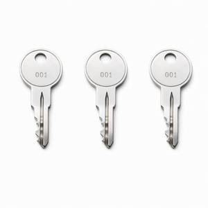 lot 30808 image: 3-Pack 004 Keys Compatible with Husky Tool Box Cabinet Locks, Single-Sided Toolbox & Tool Chest Key, Pre-Cut to Code 001-005