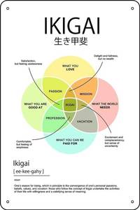 lot 30819 image: Ikigai Motivational Wall Art Philosophy Life Purpose Decor 8x12 Inches Aluminum Sign (Slightly Bent) - Retail $13