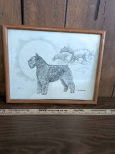 lot 3 image: Signed Bouvier Dog Pen and Ink Drawing