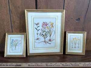 lot 16 image: Botanical Wildflower Print in Gold Frame