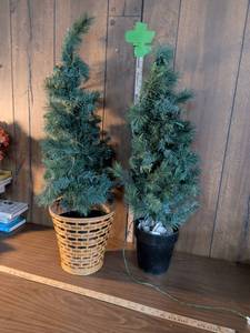 lot 84 image: Artificial Christmas Trees with Wicker and Plastic Pots