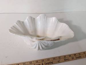 lot 254 image: Large Natural White Seashell