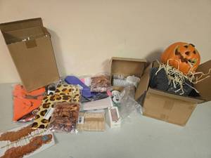 lot 136 image: Halloween Costume and Decoration Bundle Lot