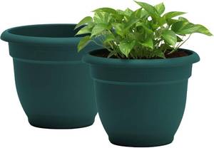 lot 121447 image: Bloem Ariana 12 Self-Watering Plastic Planter - Rolled Rim IndoorOutdoor Garden Pot, Charleston Green, 2-Pack