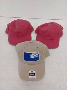 lot 14305 image: 3 Pack Hats