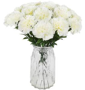 lot 1471 image: Fqueelvys 16PCS White Carnations Artificial Flowers 14.8 Fake Carnation Silk Flowers with Stems Faux Carnations Flowers for Home Table Centerpiece Wedding Decor Floral Arrangements (Ivory White)