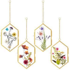 lot 6283 image: Qunclay 4 Pcs Floating Flower Frame Hanging Pressed Flower Frame DIY Hexagon Glass with Chain Double Floating Picture Geometric Wall Decor for Picture in Home Gallery Gradution