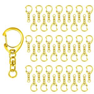 lot 6369 image: Roctee 50 pcs Lobster Clasp Key, Keychain Clip, Swivel Clasps Lanyard Snap Hook, DIY Crafts Key Chain, Lobster Claw Clasp (Silver)