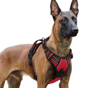 lot 6440 image: rabbitgoo Dog Harness for Large, No Pull Pet Harness with 3 Buckles, Adjustable Soft Padded Vest with Control Handle, Walking Reflective Pet Vest for Extra Large Dogs, Red, XL