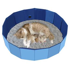 lot 12047 image: Cat Birthing Box, Whelping Box for Cats, Cat Birthing Nesting Boxs, Whelping Pool,Pet Birth Supplies, Foldable Cates Bath Pool, Convenient Storage, Easy to Clean, Can be Used Indoors or Outdoors