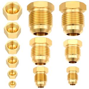 lot 12110 image: MorningRo 6 Pcs Brass Flare Plug SAE 45 Degree Flare Tube Fitting Seal Plugs 6 Pcs Brass Cap Assortment Kits for 14 516 38 12 58 34 Tube OD 6 Sizes Set