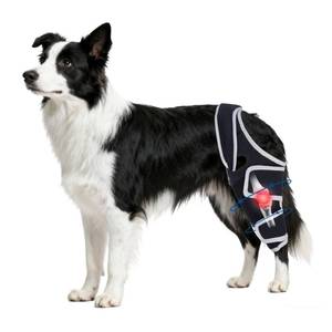 lot 12161 image: Moysoon Dog Knee Brace for Torn Acl Hind Leg - Relieves Ligament Injury and Joint Pain, Adjustable Leg Support Bracket for Warmth and Support, Universal Dog Knee Brace for Four Legs,��Size L��.