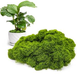 lot 20242 image: Aspamms Fake Green Moss for Potted Plants Indoor, 7oz Artificial Moss for Crafts, Faux Moss Decor for Fairy Garden, DIY Decorative, Model Making, Walls, Glass Containers, Home