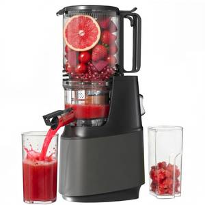Cold Press Juicer, Juicer Machines with 5.3" Wide Feed Chute, Slow Masticating Juicer for Whole Fruits and with VegetablesHigh Yield (Gray)
