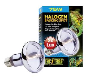 lot 6067 image: Exo Terra Sun Glo Halogen Basking Spot Lamp �� 75W Reptile Light Bulb, Broad Spectrum Daylight, Enhances Coloration, Promotes Health, PT2182