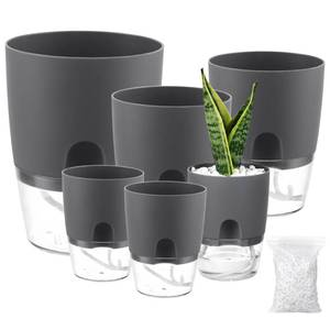 lot 6086 image: Planterhoma 6 Pack Self Watering Pots for Indoor Plants, 3.246 Inch Plant Pot Plastic Self Watering Planter for Orchid, African Violet, Small Clear Flower Pots with Drainage Holes and Wicking, Grey