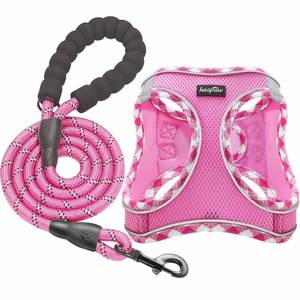 lot 12208 image: haapaw Dog Harness with Leash Set, No Pull Adjustable Reflective Step-in Puppy Harness with Thickened Padded Vest for Extra-SmallSmall Medium Dogs