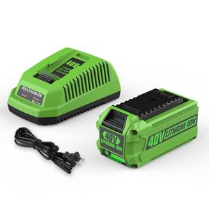 lot 12211 image: AYTXTG 40V 6.5Ah 29462 29472 Replacement for Greenworks 40 Volt Battery and Charger 29482 Compatible with Greenworks 40V Lithium-Ion Battery 29252 20202 22262 40 Volt G-MAX