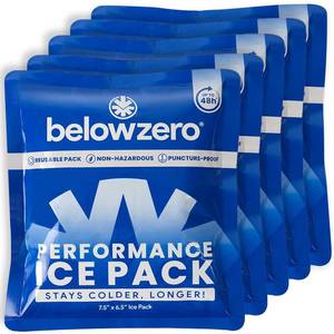 lot 14353 image: Below Zero Prefilled Reusable Ice Packs for Coolers  Long Lasting Freezer Ice Blocks for Camping, Lunch Bags & More  48 Hour Cooler Ice Pack Technology  Small 7.5x6.5 (5-Pack)