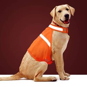 lot 18343 image: Dog Jacket High Visibility Safety Reflective Dog Vest for Small Medium Large Dogs (X-Large, Orange)