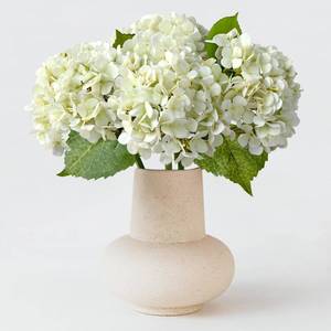 lot 19236 image: ZYTUYO 20 inches 4 Pcs Ivory White Real Touch Hydrangea Artificial Flowers Boho Lifelike Real Looking Latex Hydrangeas Flower with Long Stem for Home Decor Spring Table Centrepiece