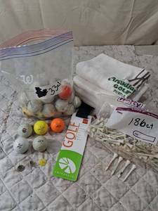 lot 140 image: Mixed Golf Ball Collection with Tees and Towels
