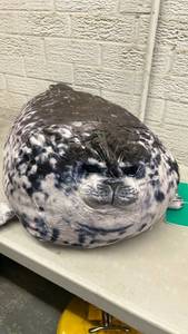lot 300 image: Seal Plush Pillow - Retail $30