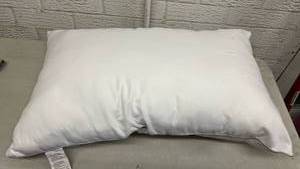 lot 307 image: Standard Pillow