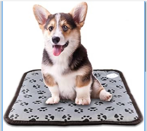 lot 308 image: Waterproof Pet Dog Cat Heating Pad Electric Heating Warming Beds with Anti Bite Tube Constant Temperature Warming Bed for Dogs and Cats 1 Pack