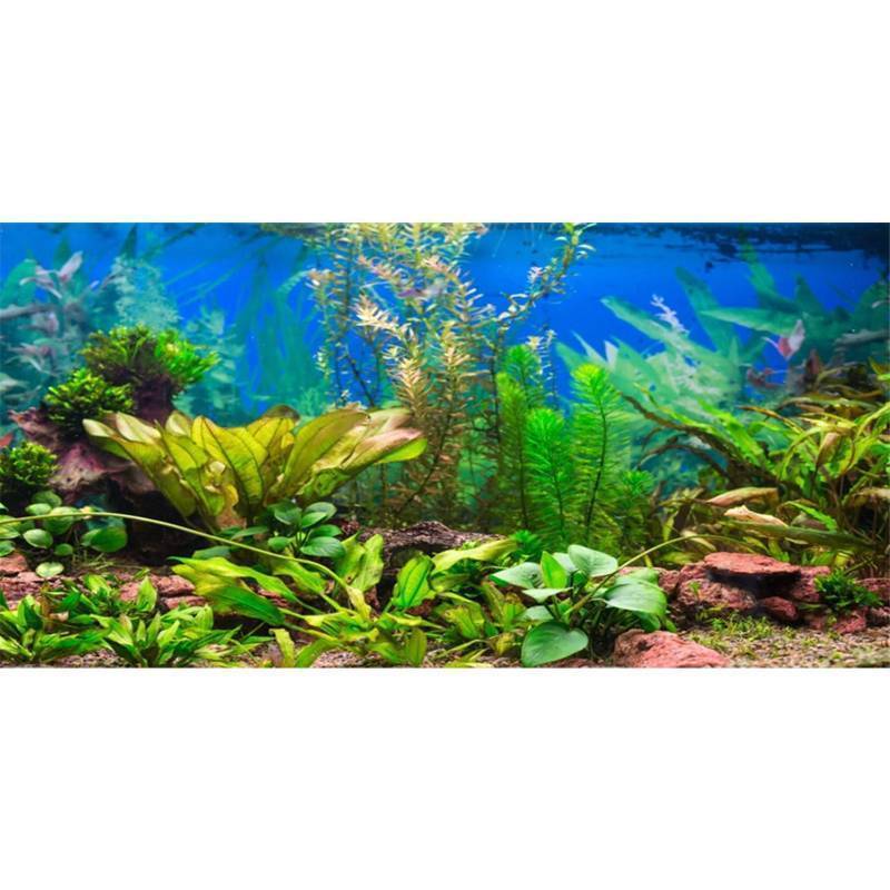 lot 62333 image: 48x18 inches Aquarium Background Aquatic Plant River Bed & Lake Fish Tank Background Vinyl - Retail $9