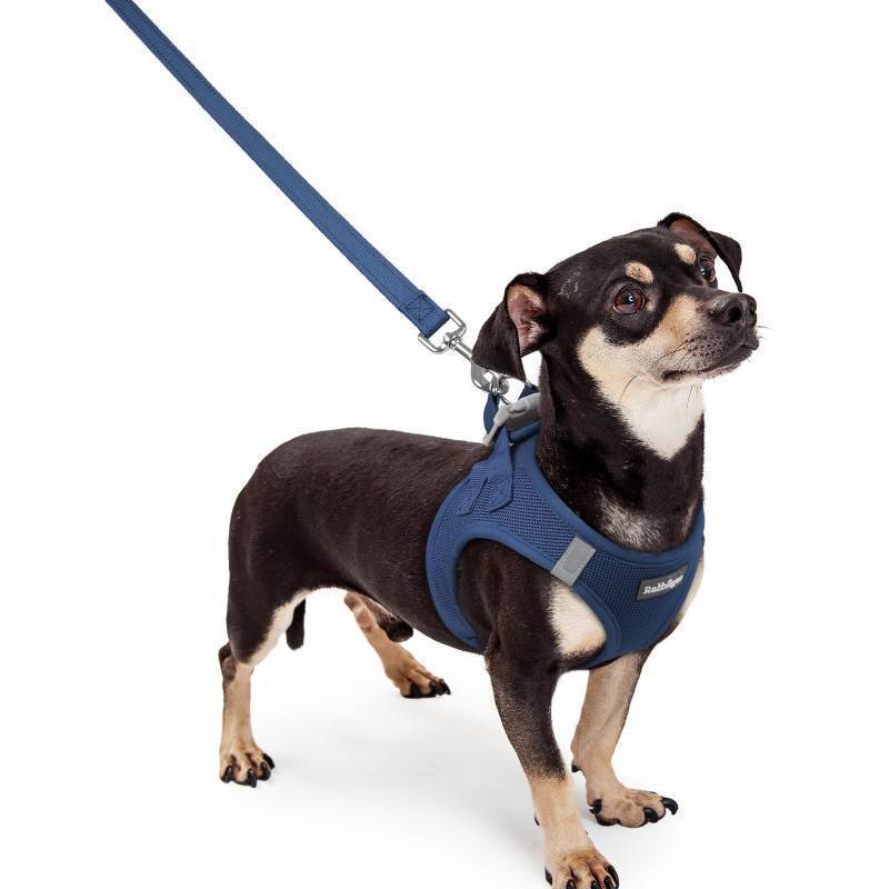 lot 62389 image: Dog Harness Small Sized and Leash Set, Step in Soft Light Puppy Vest, Breathable Mesh Pet Harness, Reflective for Outdoor Safe Walking, Navy Blue XXXS - Retail $21