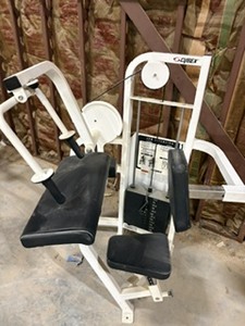 lot 19010 image: GYM EQUIP- CYBEX ARM EXTENSION MACHINE