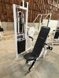 lot 19013 image: GYM EQUIP-CYBEX Tricep Press Machine