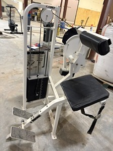 GYM EQUIP-CYBEX BACK EXTENSION