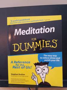 lot 2269 image: Meditation For Dummies by Stephan Bodian