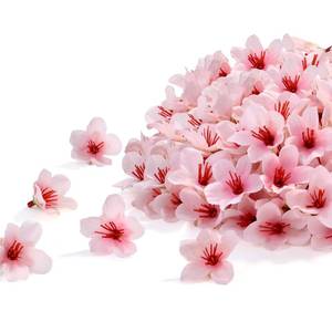 lot 4195 image: SITUMEIZI 100 Pcs Mini Pink Cherry Blossom Flowers Head Artificial Small Cherry Blossom Head Fake Mini Flowers for Home DIY Flower Wall Mothers Day Party Birthday Decor 1.6 inches