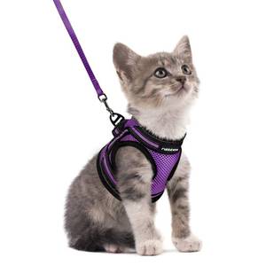 lot 4238 image: rabbitgoo Cat Harness and Leash, Step-in Escape Proof Kitten Harness Set, Soft Comfortable Cat Vest, Easy to Wear and Adjust, Reflective for Safe Outdoor Walking, Purple, Small