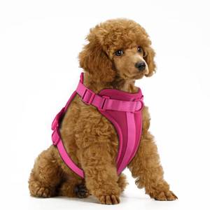lot 10069 image: Wisedog No Pull Lightweight Dog Harness Adjustable Breathable Pet Vest Harness with Soft & Comfortable Cushion for Small Medium Large Dogs (XS, Peacock Pink)