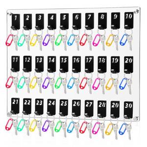 lot 10070 image: Beeveer Acrylic Key Board with 30 No. Hooks Wall Mount Key Rack Holder Hanger Storage Collection for School, Garage, Car Dealer, Office, Hotel, Real Estate(Transparent)