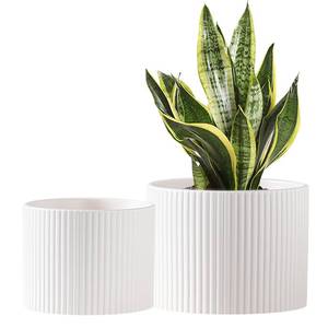 lot 15782 image: Swkien Ceramic Plant Pots, 8.1  6 Inch Planters for Indoor Plants, Modern Flower Pots for Plants with Drainage, Medium Cylinder Flower Pots for Indoor Plants, House Plants, Matte White