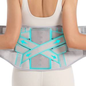 lot 16272 image: EGJoey Back Brace for Lower Back Pain - Lumbar Support with Bionic Support System, Adjustable Belt for Men Women, Relieves Sciatica, Herniated Disc, Scoliosis, Posture Correction for Workout, Daily Use, Heavy Lifting (Grey, Large)