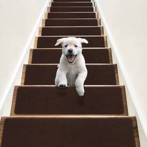 lot 19359 image: RIOLAND Non-Slip Stair Treads Carpet Indoor 14 Pack Stair Rugs for Wooden Steps Anti Moving Stair Runners Safety for Dogs Elders and Kids, 8 x 30, Coffee Brown