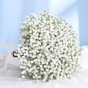 lot 19330 image: White Babys Breath Flower Bundle Artificial