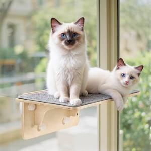 lot 1717 image: Pecute 2-in-1 Large Cat Window Perch & Wall Shelves, Cat Hammock Window with Solid Wood, Strong Suction Cup, Washable Cover Mat, Window seat Indoor, Cats Perch Bed for Birds Watching Inside, 21x11