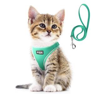 lot 2295 image: Fida Cat Harness and Leash Set for Walking Kitten and Puppy, Escape Proof Kitten Harness with Breathable Lightweight Soft Mesh, Adjustable Reflective Step-in Design. (XXS, Green)